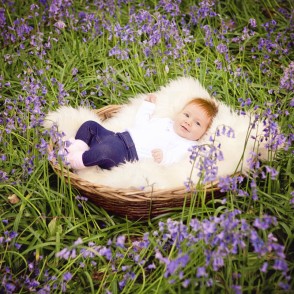 Bluebell Portraits at Andrews Wood Polhill Orpington Kent